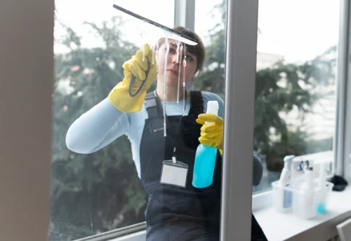 Nettoyage de vitres intérieures et extérieures à Saunay